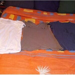 Bundle Of Women's T-shirts Size large No Boundaries + Two Bonus Shirts
